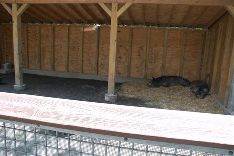 any undertaking that is easy to do. . Pigs enclosure nyt